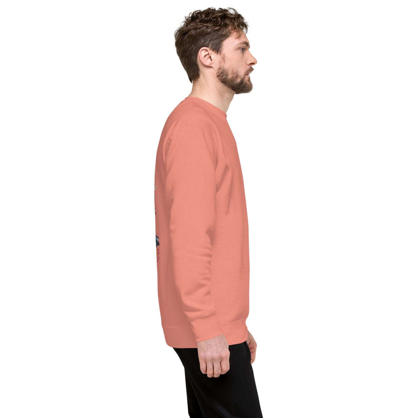 LMG The Colored Dude Unisex Premium Sweater