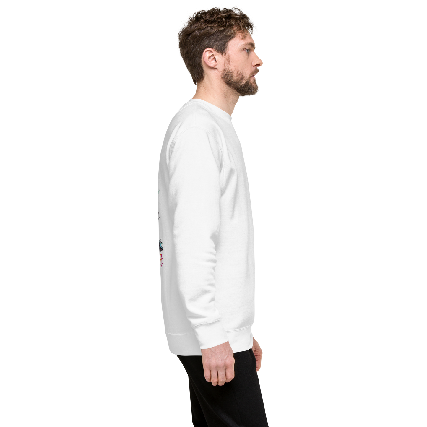 LMG The Colored Dude Unisex Premium Sweater
